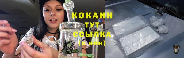 МДПВ Инсар