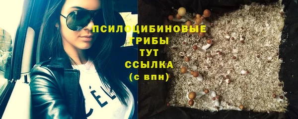 стафф Абдулино