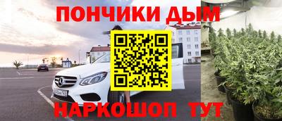 прущие грибы Малгобек